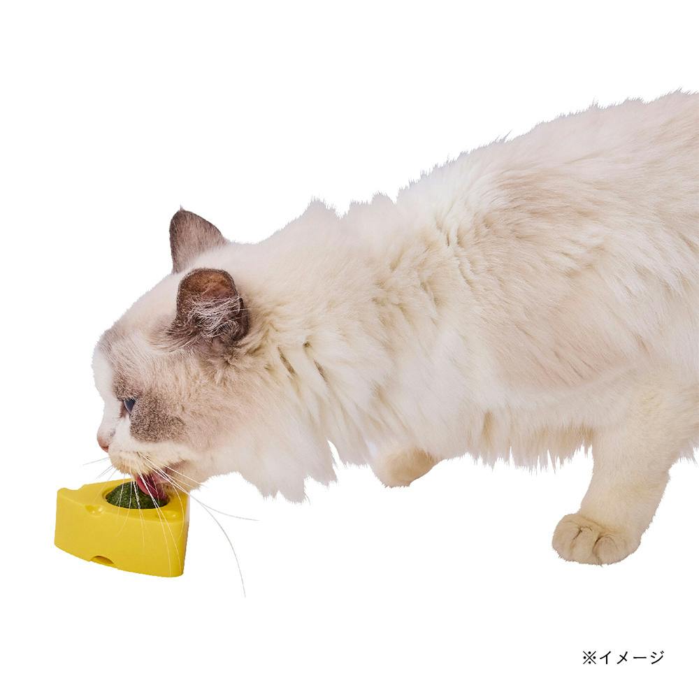 ぺろぺろキャットニップTOY チーズ | ペット用品（猫） 通販