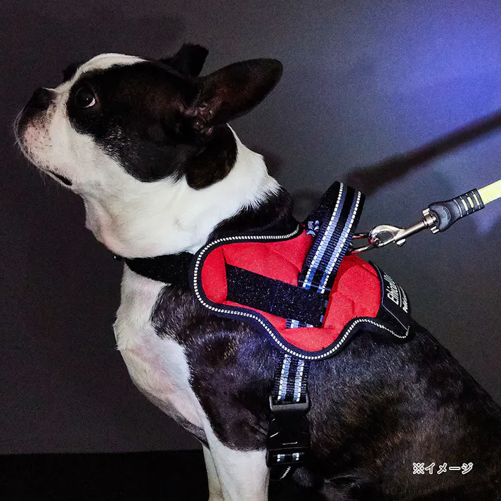 犬用胴輪エシカルドア ハーネス S レッド