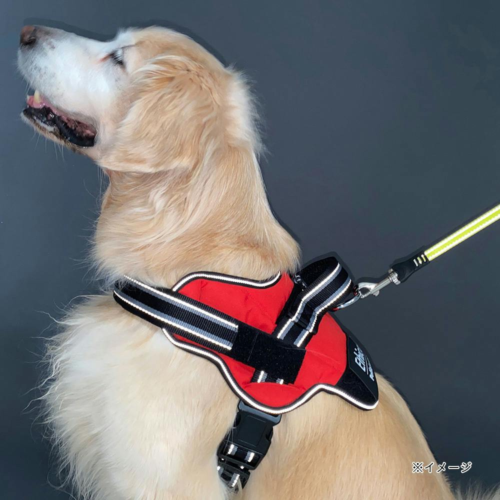 犬用胴輪エシカルドア ハーネス L レッド | ペット用品（犬） 通販