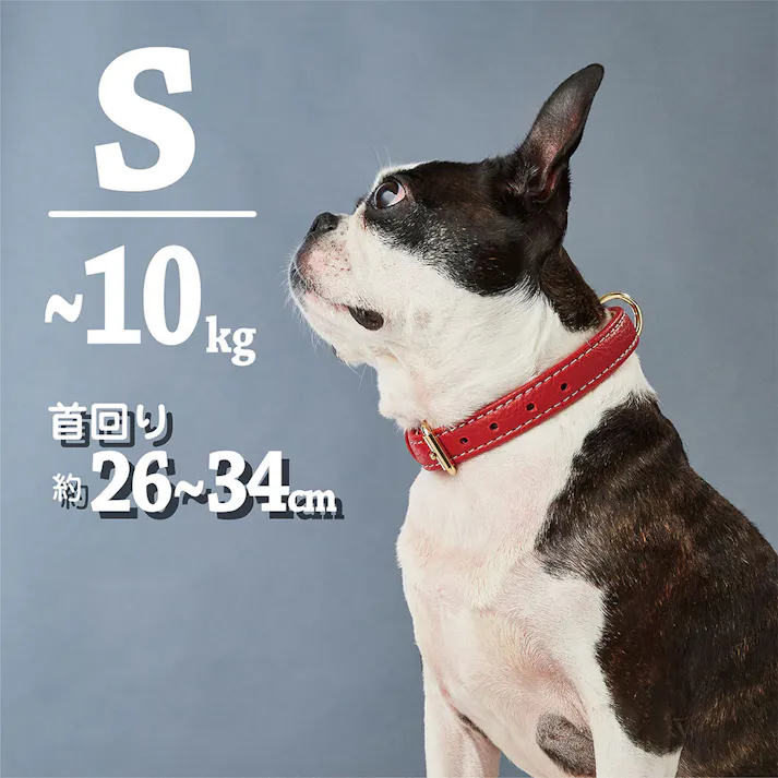 Portaクラシックソフトレザーカラー 21レッド