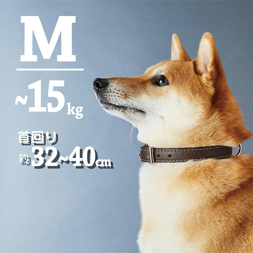 Portaクラシックソフトレザーカラー 24ブラウン | ペット用品（犬