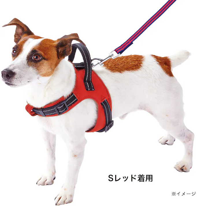 ペティオ ラブハーネス S ブルー
