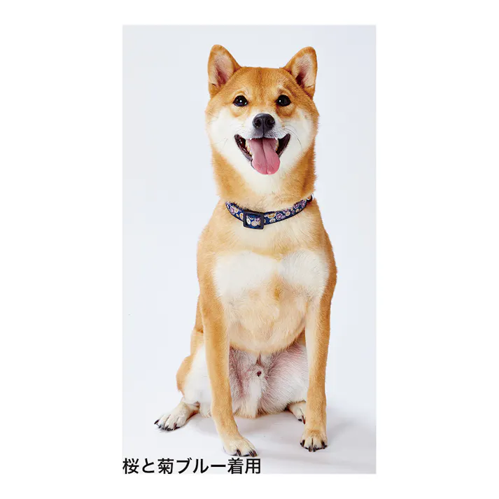 ペティオ 犬雅 唐草カラー M グリーン