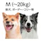 Porta カラー M ネイビー