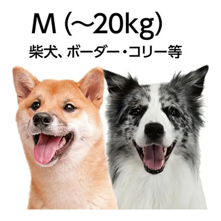 Porta カラー M ネイビー