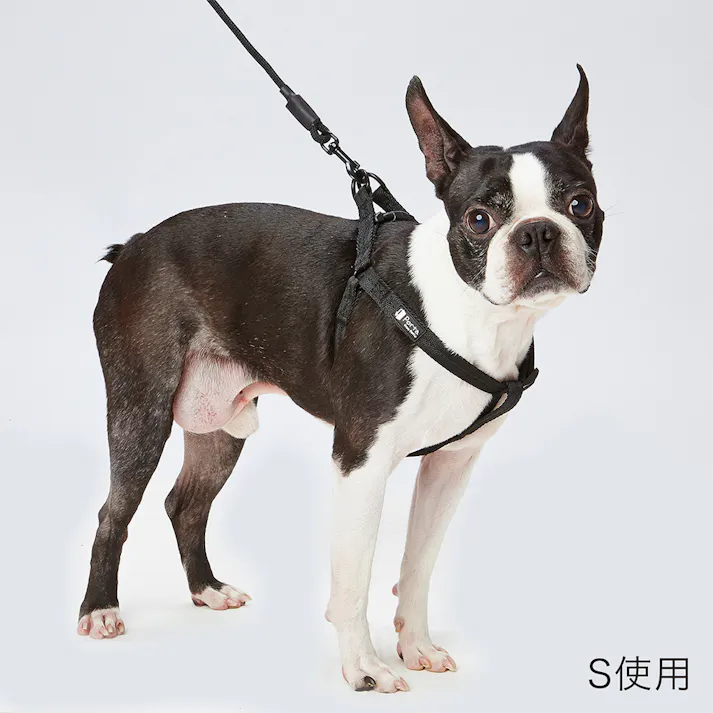 Porta ハーネス S ブラック