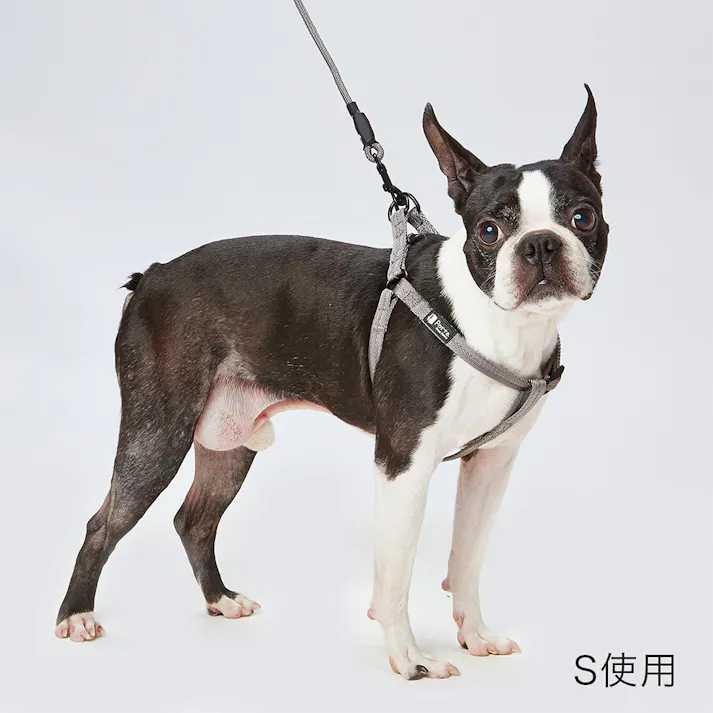 ポルタ ハーネス M シルバーグレー