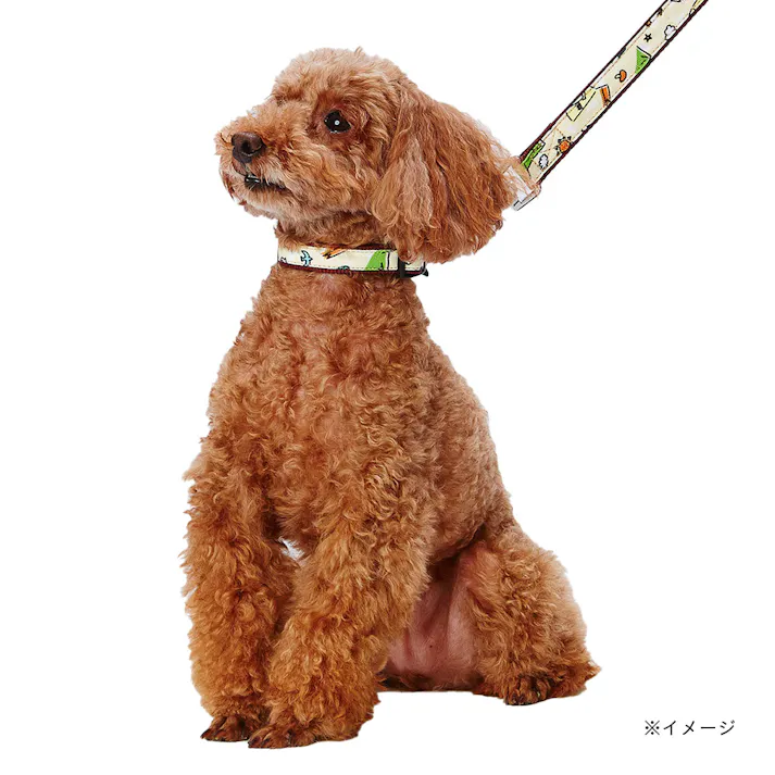 犬用 エシカルドア キャンプカラー SS クリーム