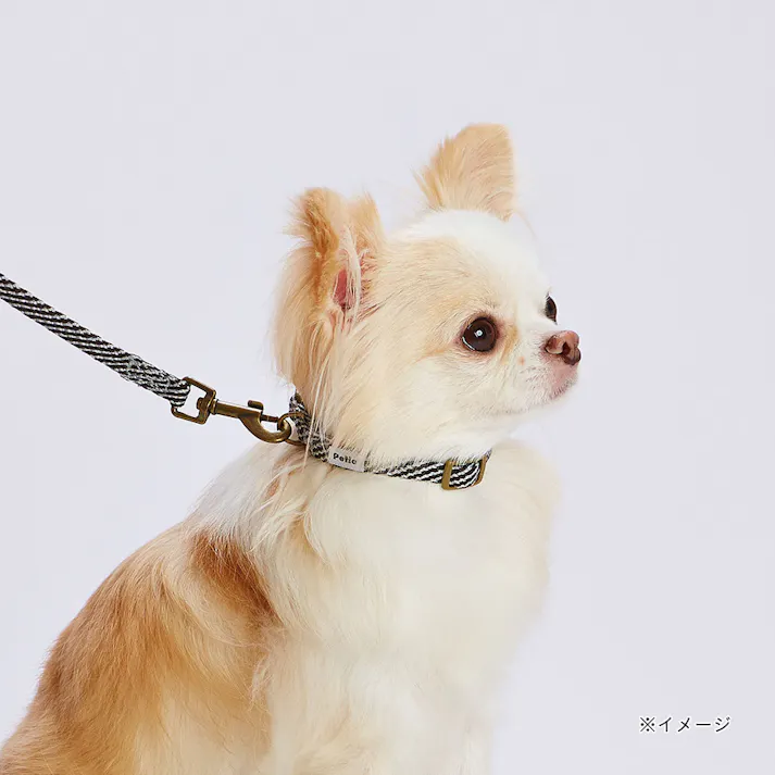 犬用首輪 フラッシュソフトカラー SS ブラック