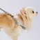 犬用胴輪 フラッシュソフトハーネス SS ブラック
