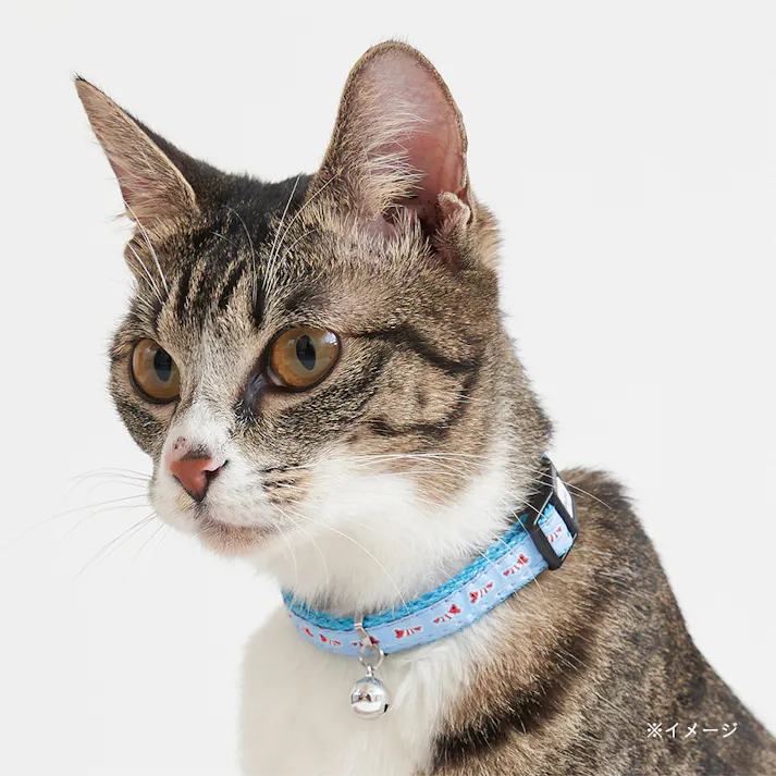 CAT COLLAR エビ ブルー