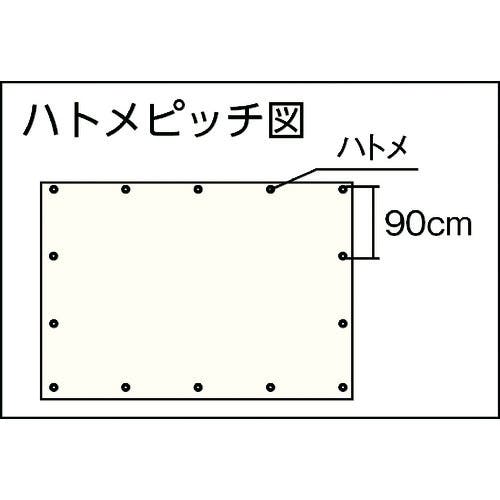 CAINZ-DASH】ユタカメイク シート ＰＥ透明糸入りシート（ＵＶ剤入