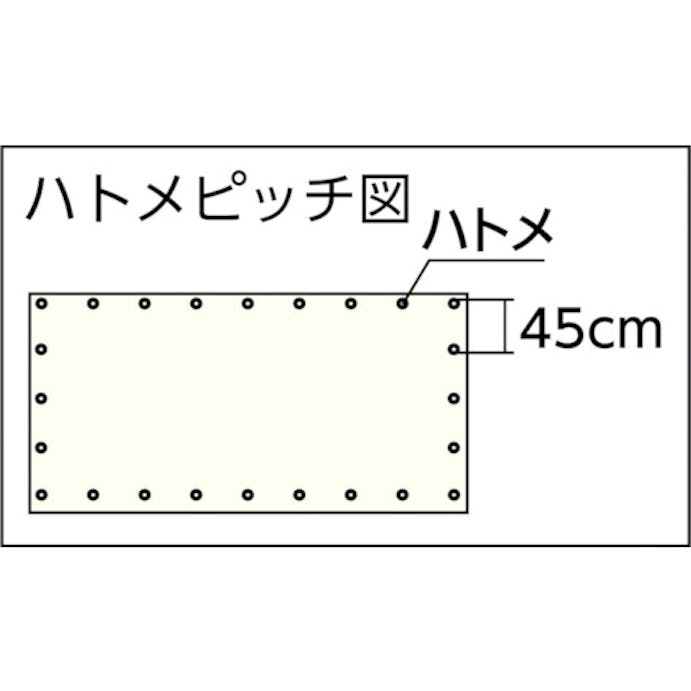 【CAINZ-DASH】ユタカメイク シート　難燃透明糸入りシート　２．７ｍ×２．７ｍ　クリア B-326【別送品】