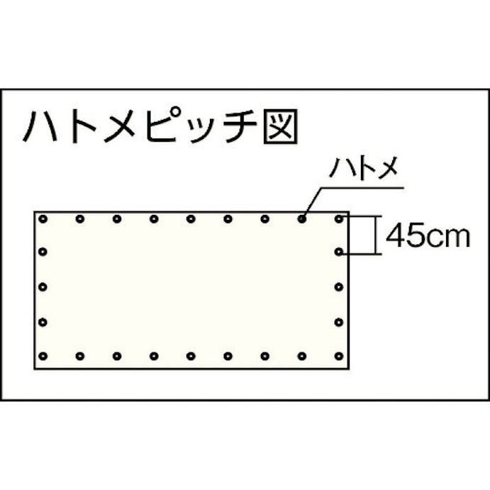 【CAINZ-DASH】ユタカメイク 透明糸入りシート　０．９ｍ×１．８ｍ B-160【別送品】