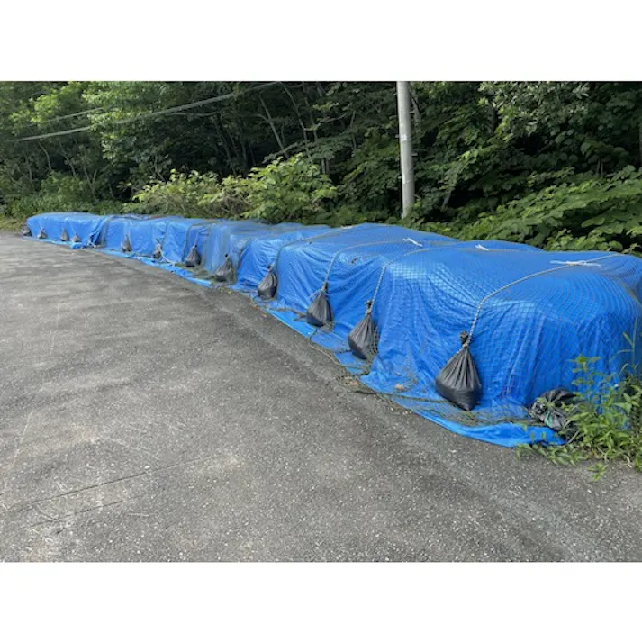【CAINZ-DASH】ユタカメイク シート #3000BLUESHEET(OB) 9.0m×9.0m BLS-17【別送品】