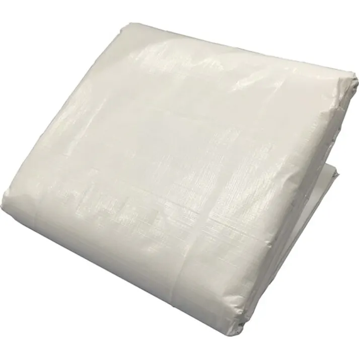 【CAINZ-DASH】ユタカメイク #3000 ホワイトシート 5.4m×5.4m WHS-13【別送品】