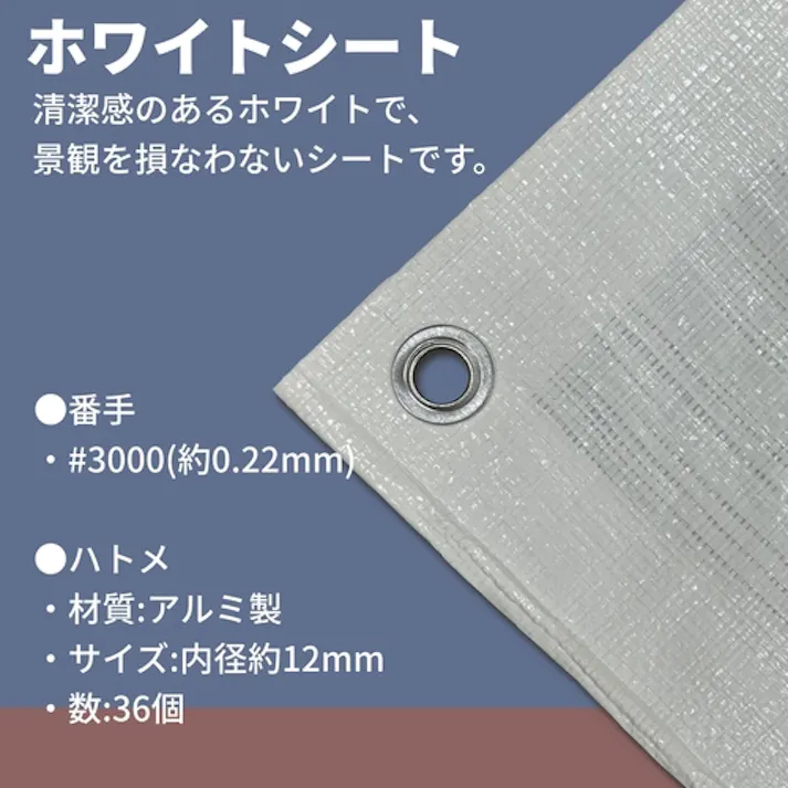 【CAINZ-DASH】ユタカメイク #3000 ホワイトシート 7.2m×9.0m WHS-16【別送品】