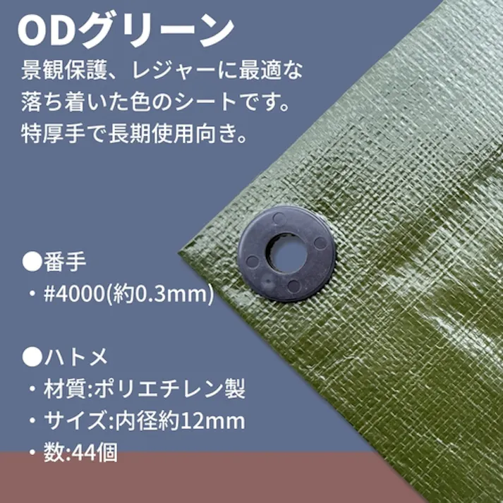 【CAINZ-DASH】ユタカメイク #4000 ODグリーンシート 10m×10m OGS-418【別送品】