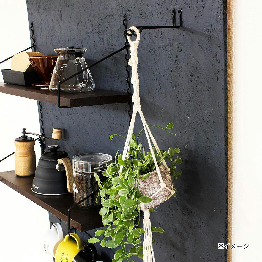 Kabette ハンギングフック 真鍮 KA-D03 | ねじ・くぎ・針金・建築金物