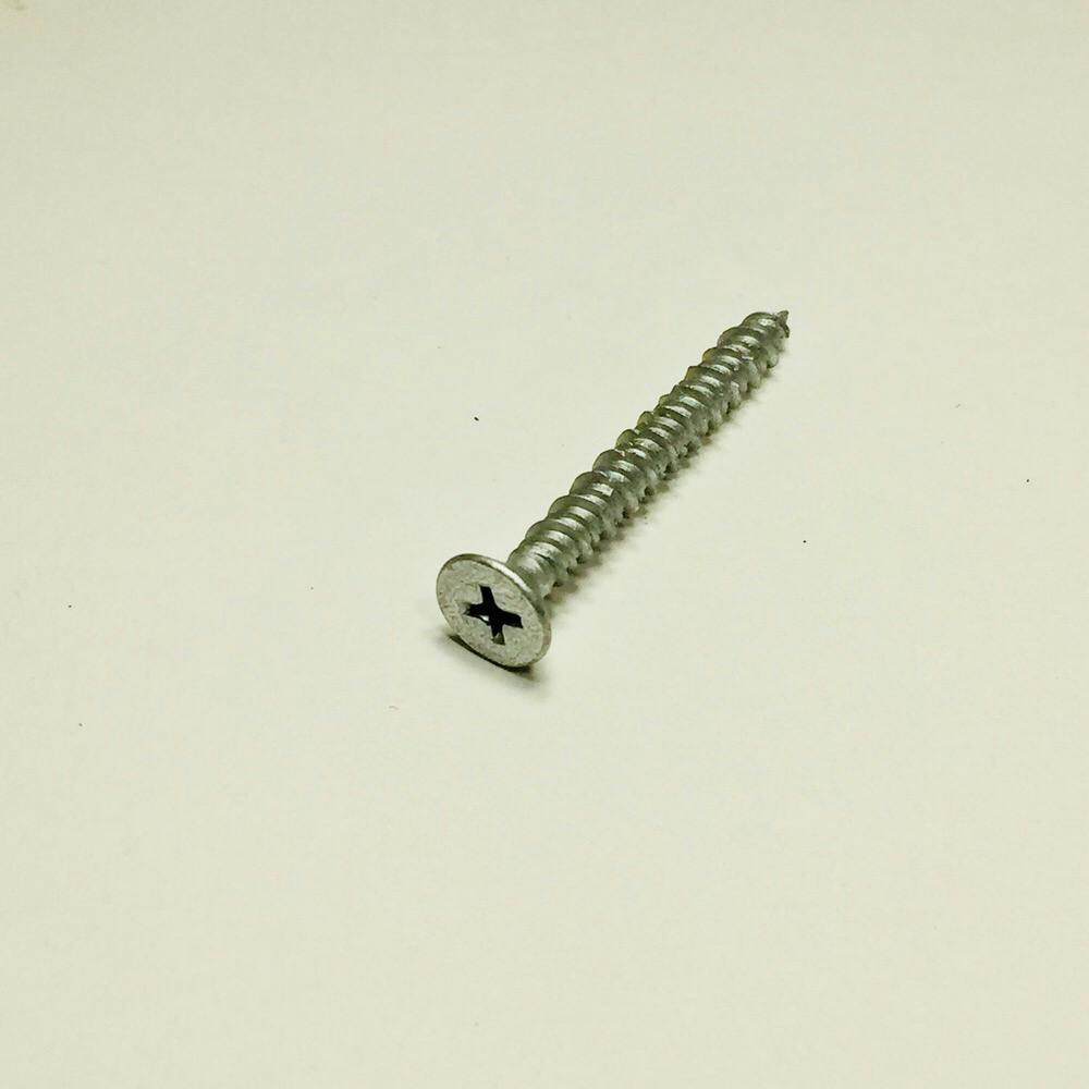 WAKAI ビスピタ サラ BS545T 5×45mm 300本入 徳用パック | ねじ・くぎ