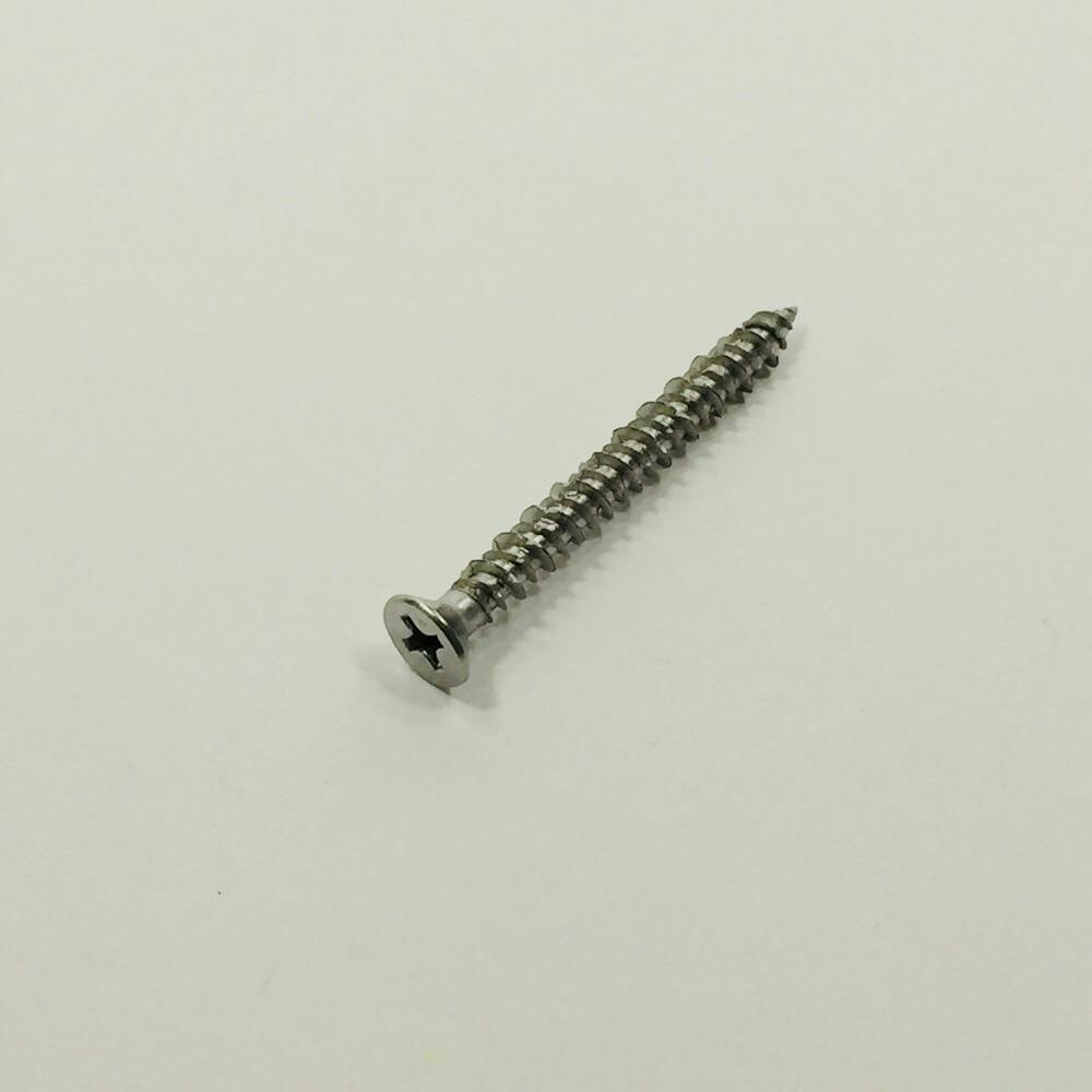 WAKAI ビスピタ サラ 4×45mm 100本入 | ねじ・くぎ・針金・建築