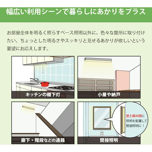 CAINZ-DASH】ホタルクス LED棚下灯FL10形相当600lm