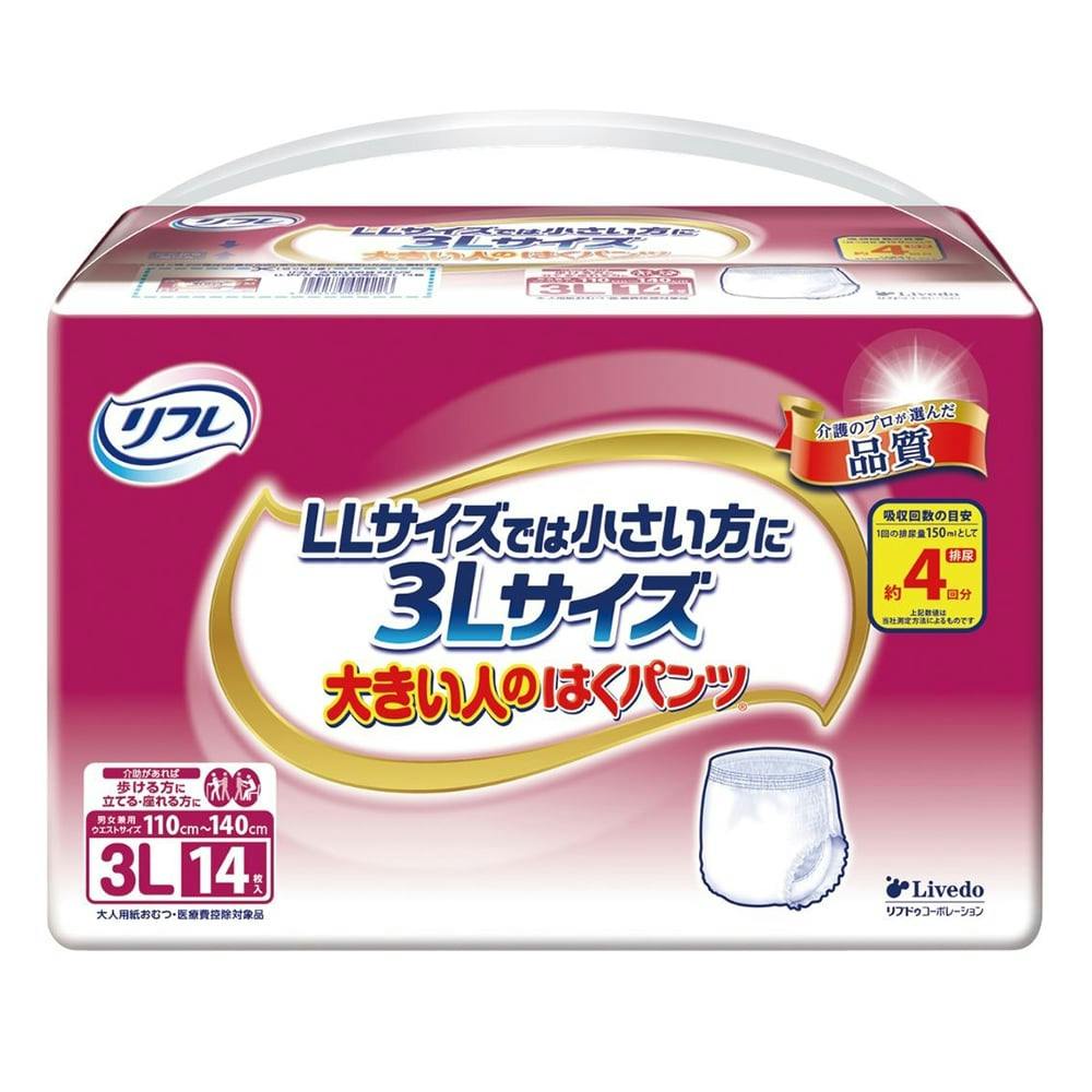 はくパンツ BIG 3L 5個セット 保障できる - おむつ用品