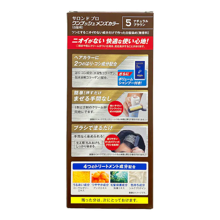 ダリヤ サロン ド プロ ワンプッシュメンズカラー(白髪用) 5 ナチュラルブラウン