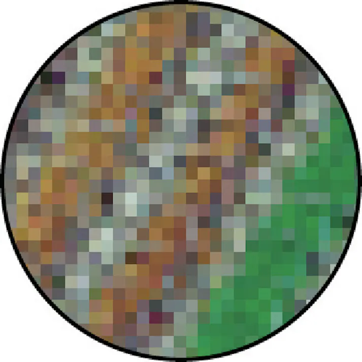 【CAINZ-DASH】テラモト タンポポマット 600×900mm MR-102-040-9【別送品】