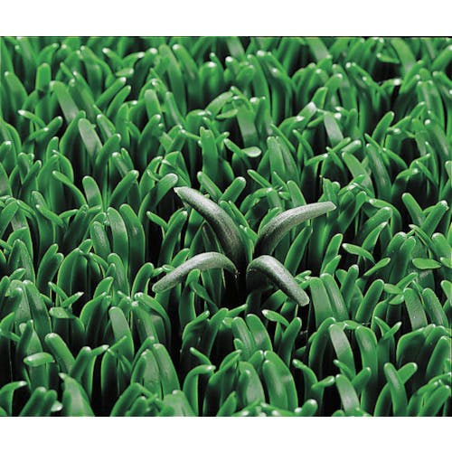 （新品）JV-HRD102EM japan limited 3ヘッド グリーン 新品）JV-HRD102EM japan limited 3ヘッド グリーン Amazon