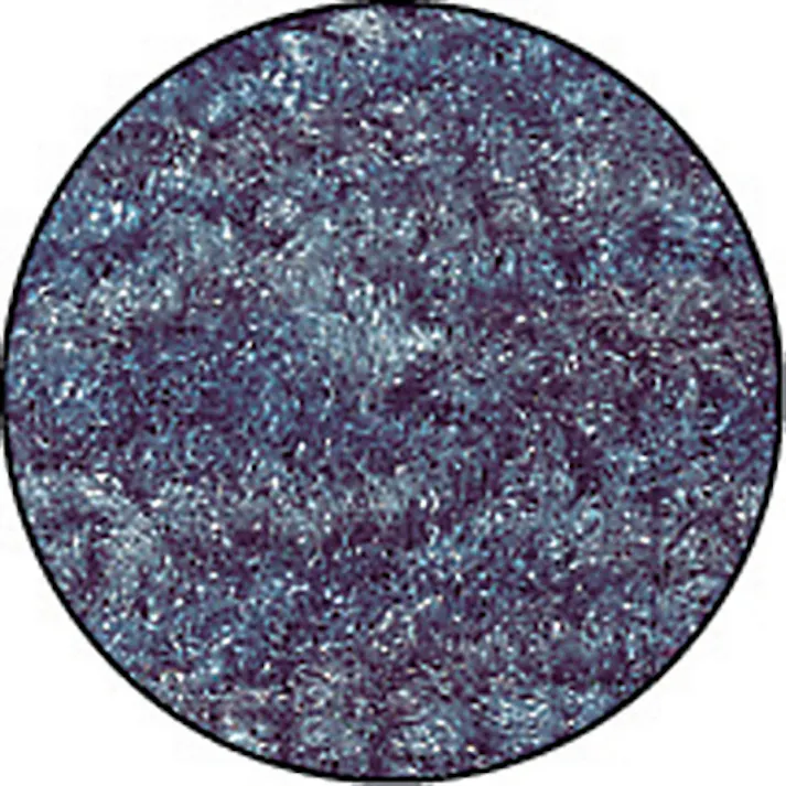 【CAINZ-DASH】テラモト 屋内用マット トレビアンHC 緑 450×750mm MR-028-020-1【別送品】