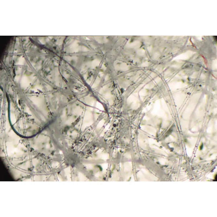 【CAINZ-DASH】テラモト ライトダスターT69 200×690mm CL-357-169-0【別送品】