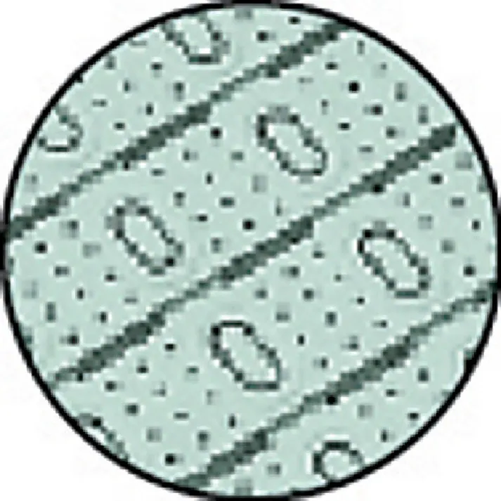 【CAINZ-DASH】テラモト ロ-ルスノコ 土足用 緑 MR-063-076-1【別送品】