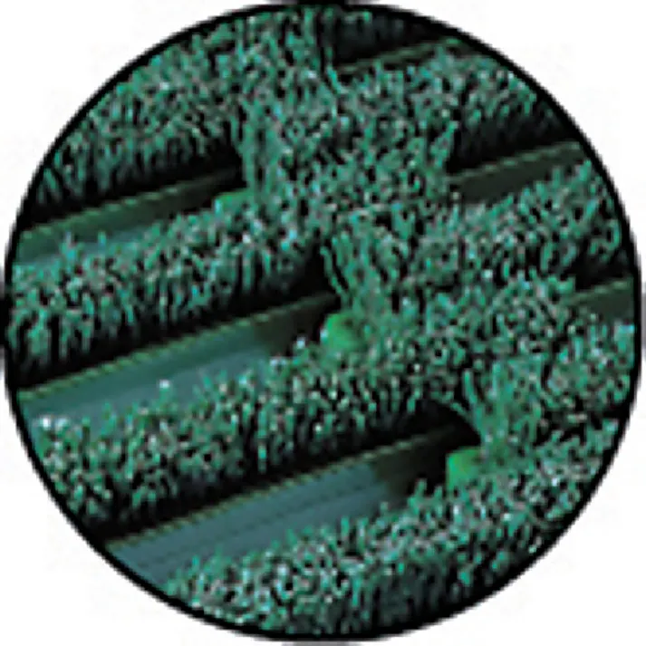 【CAINZ-DASH】テラモト ナイロンブラッシュ用マットベース MR-097-710-0【別送品】