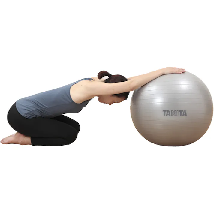 【CAINZ-DASH】タニタ ジムボール TS-962-SV TS-962-SV【別送品】