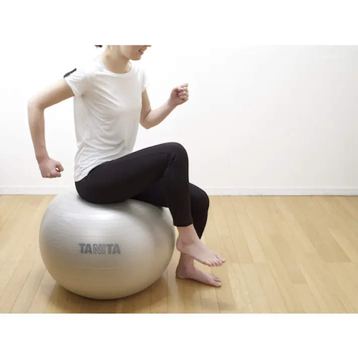 【CAINZ-DASH】タニタ ジムボール TS-962-SV TS-962-SV【別送品】