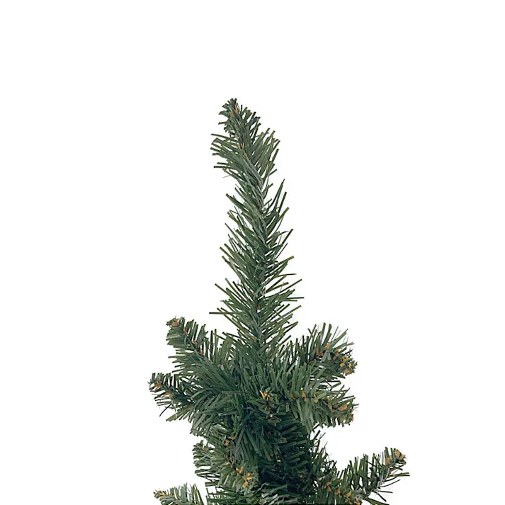 ペンシルツリー 150cm