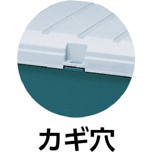 弾丸型黒アイテム CAINZ-DASH】アイリスオーヤマ 231774 カー収納 カートランク