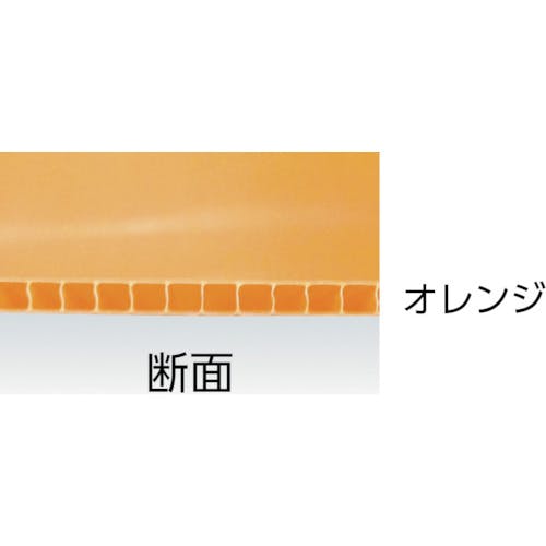 CAINZ-DASH】アイリスオーヤマ 262564 プラダン