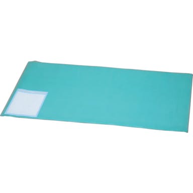 【CAINZ-DASH】アイリスオーヤマ ２５９０８７　デスクマット（全面特殊加工）　６００×４５０　緑【別送品】