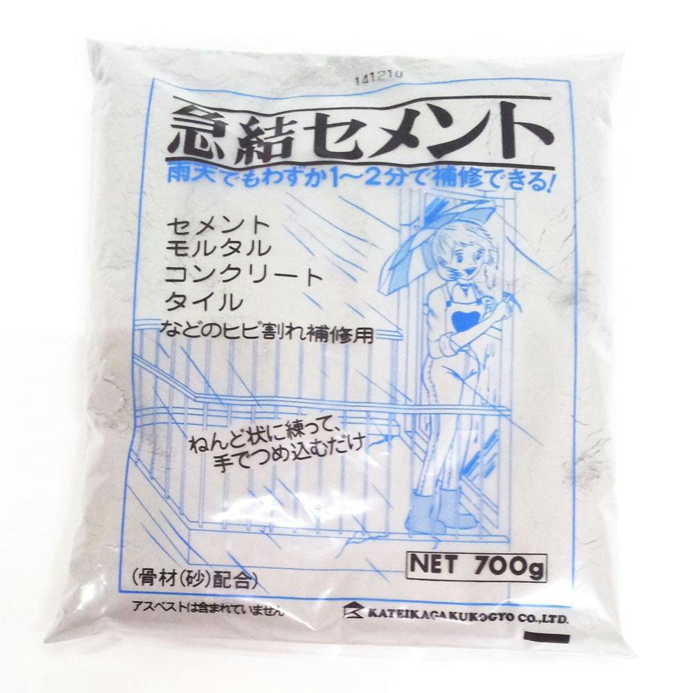 急結セメント 700g セメント 急結セメント 700g セメント