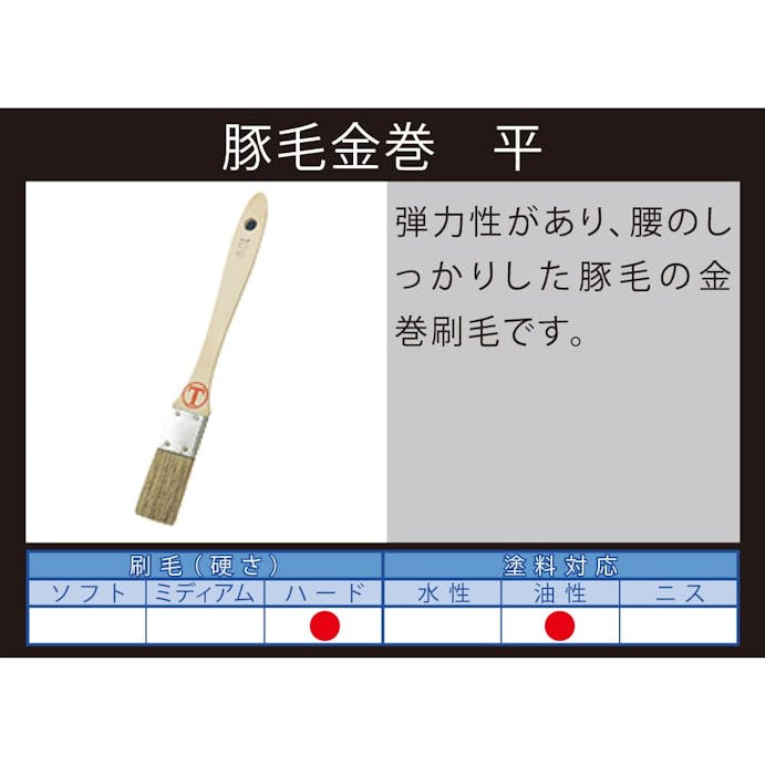 大塚刷毛製造 マルテー 豚毛金巻 平 白 10号