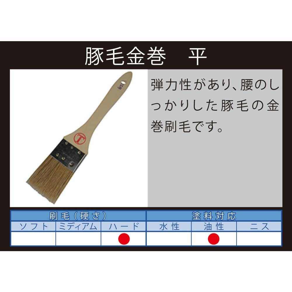 大塚刷毛製造 マルテー 豚毛金巻 平 白 15号 | ペンキ（塗料）・塗装