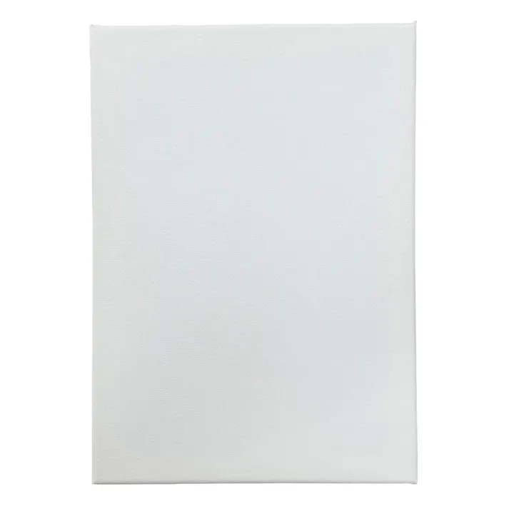 DIY canvas A4 約奥行297mm 幅210mm 高さ15mm