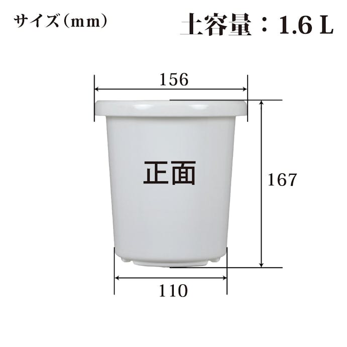 長鉢F型 5号 ホワイト(販売終了)