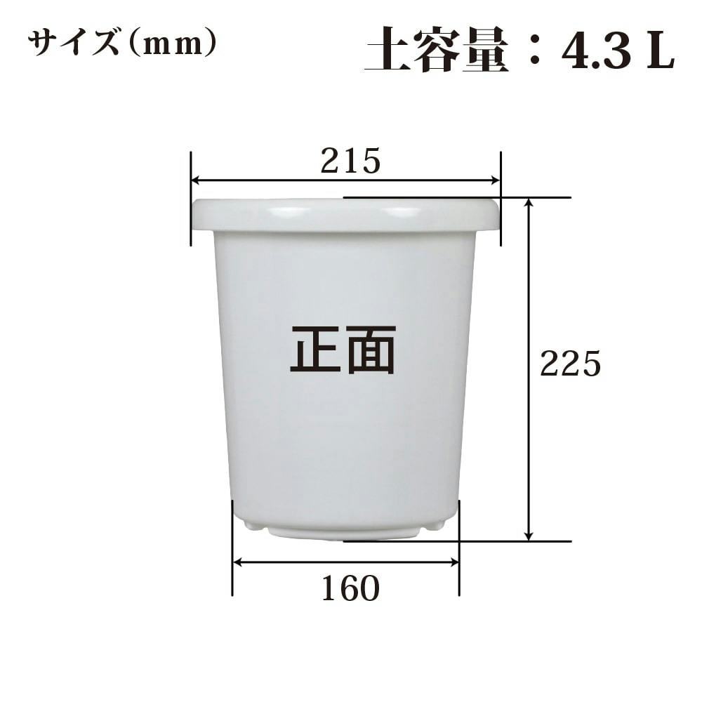 長鉢 F型 7号 ホワイト | 鉢・プランター・花台・温室 通販