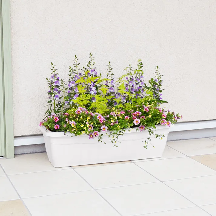 クイーンプランター 700型 ホワイト