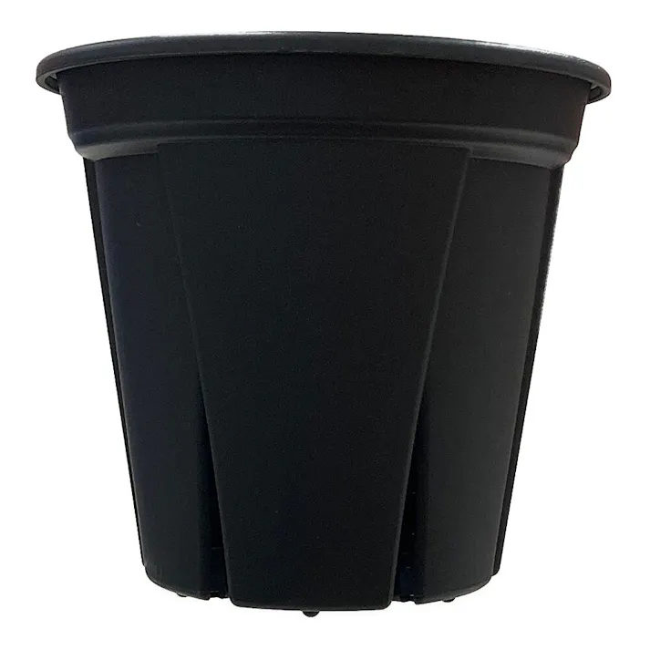 アップルウェアー 根っこつよし 4号 ブラック