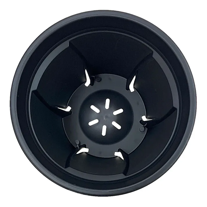 アップルウェアー 根っこつよし 4号 ブラック