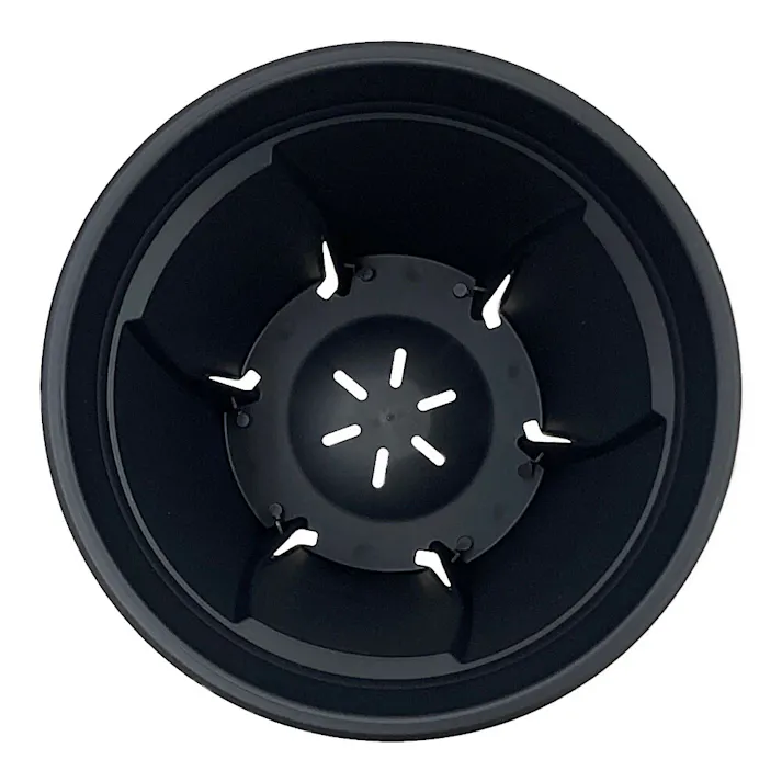 アップルウェアー 根っこつよし 5号 ブラック